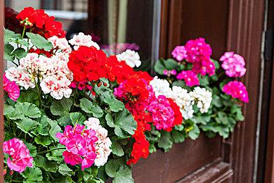 《马里奥和疯狂兔子：星耀之愿》开发团队近300人